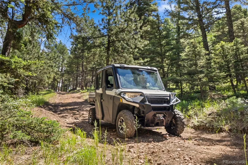 26545 Richmond Hill Road Conifer CO 80433
