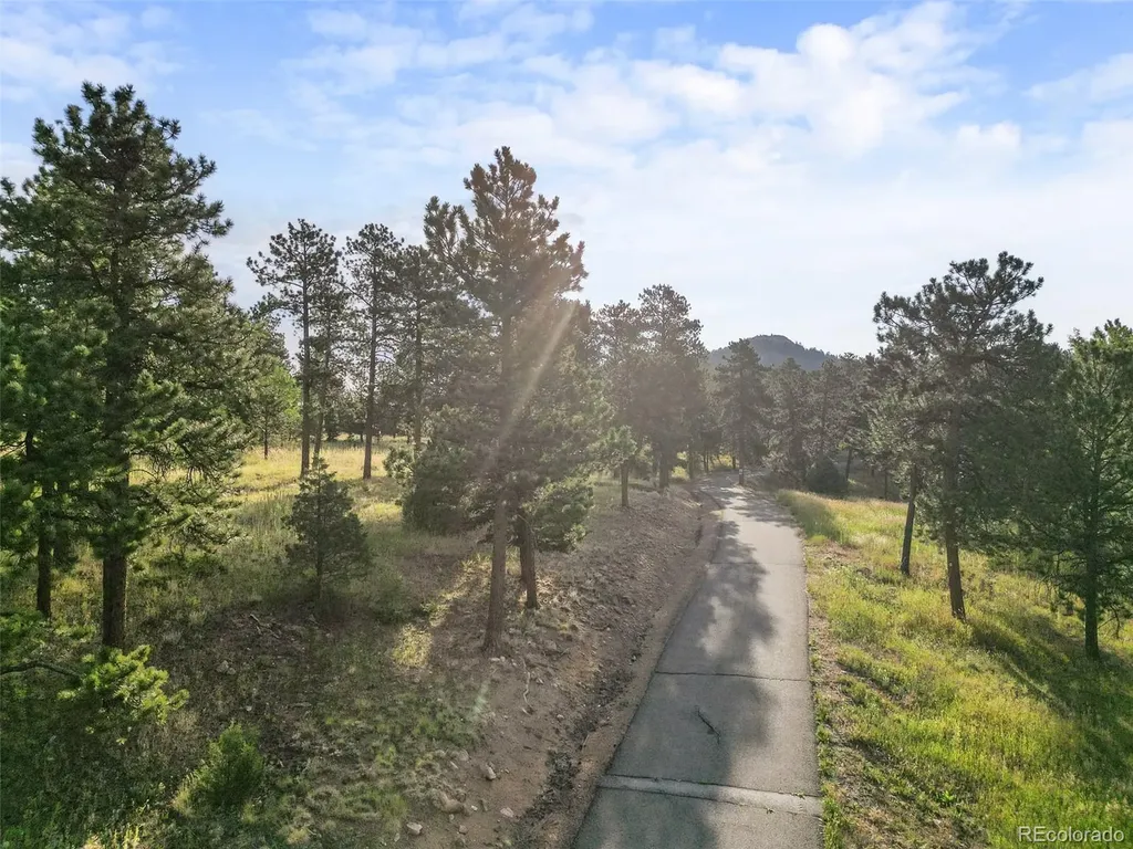 26545 Richmond Hill Road Conifer CO 80433