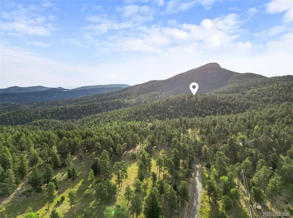 26545 Richmond Hill Road Conifer CO 80433