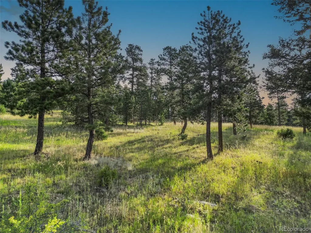 26545 Richmond Hill Road Conifer CO 80433