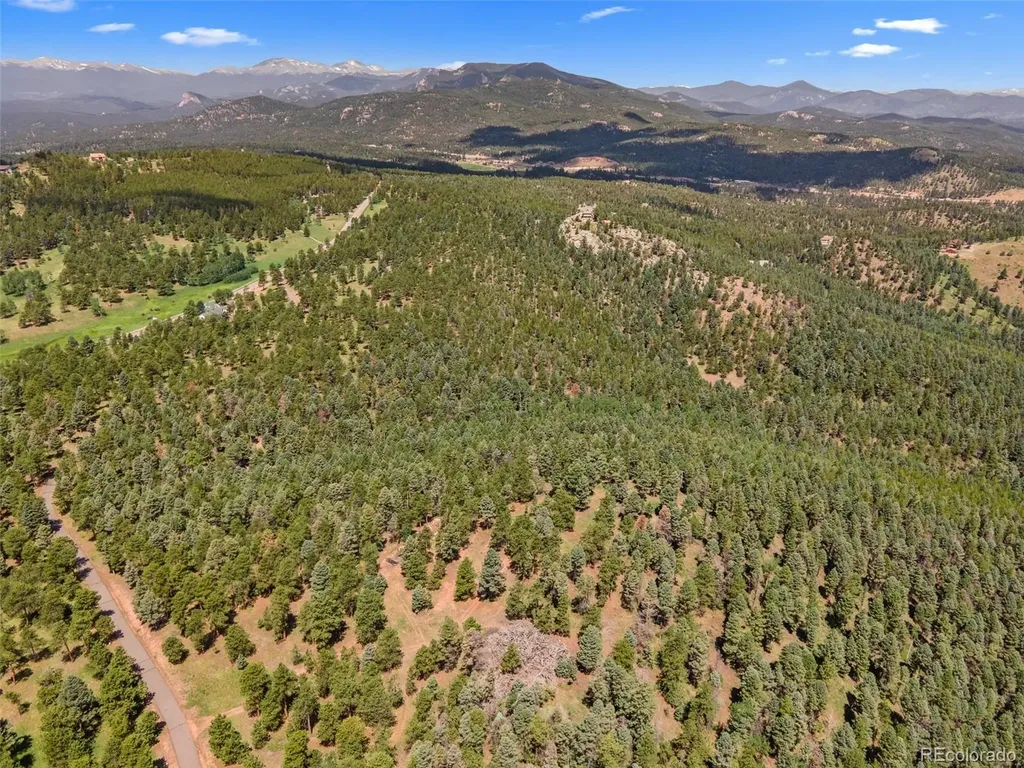 26545 Richmond Hill Road Conifer CO 80433