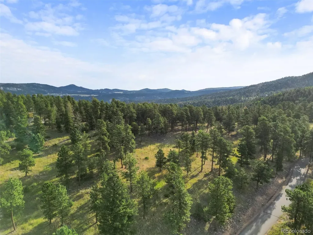 26545 Richmond Hill Road Conifer CO 80433