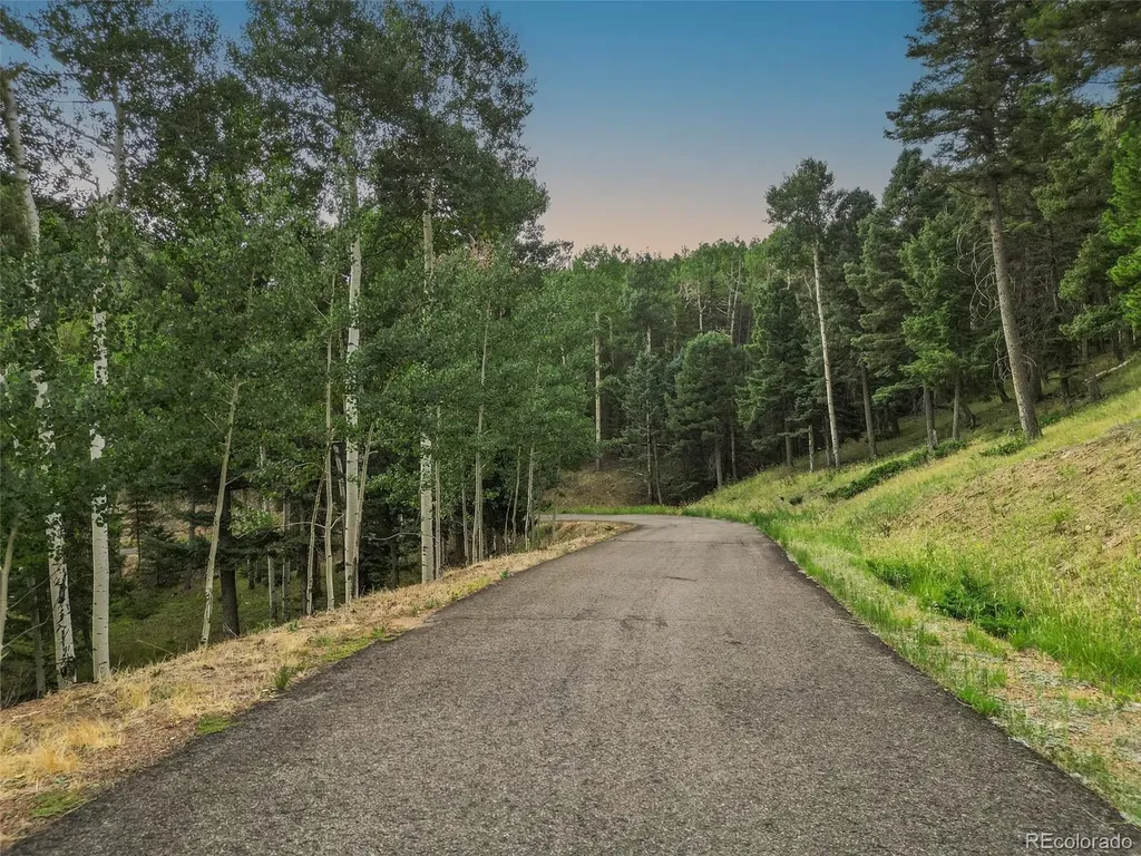 26545 Richmond Hill Road Conifer CO 80433