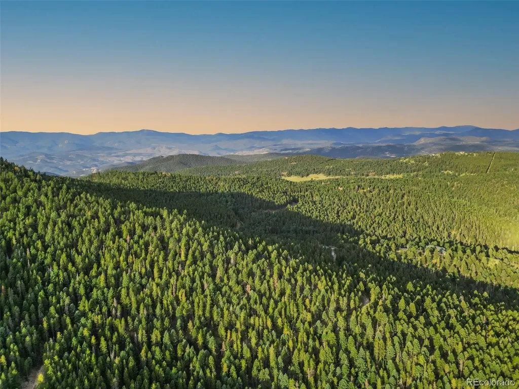 26545 Richmond Hill Road Conifer CO 80433