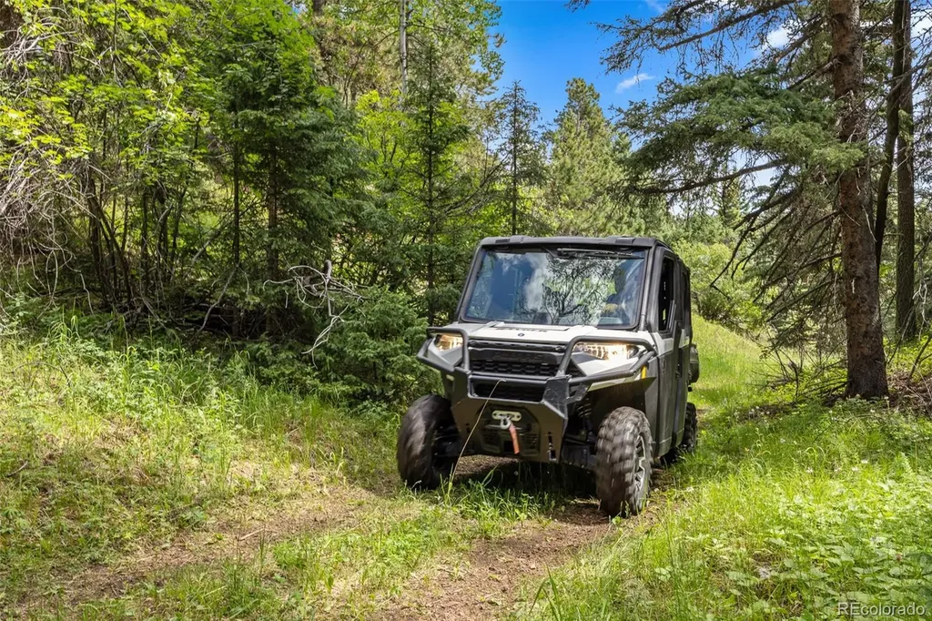 26545 Richmond Hill Road Conifer CO 80433