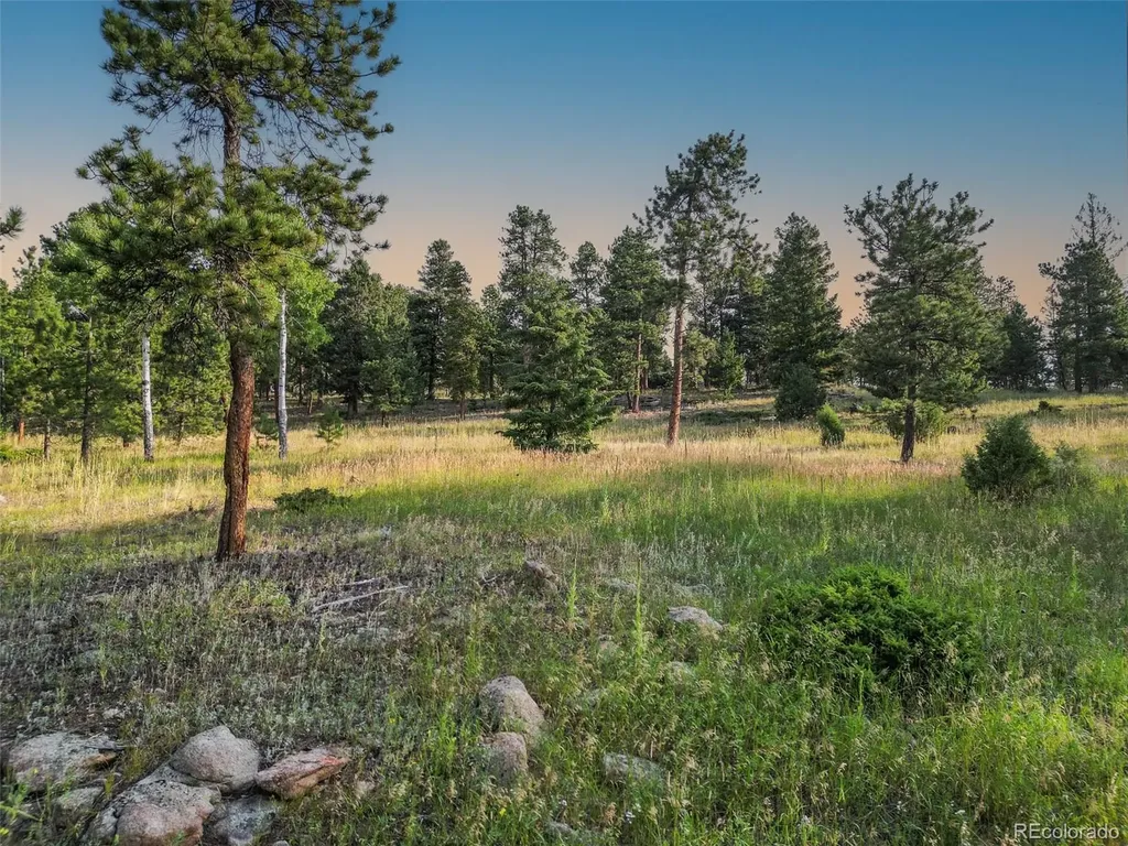 26545 Richmond Hill Road Conifer CO 80433