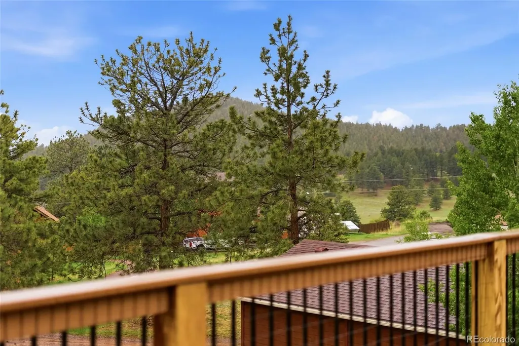 73 Sunlight Lane Bailey CO 80421