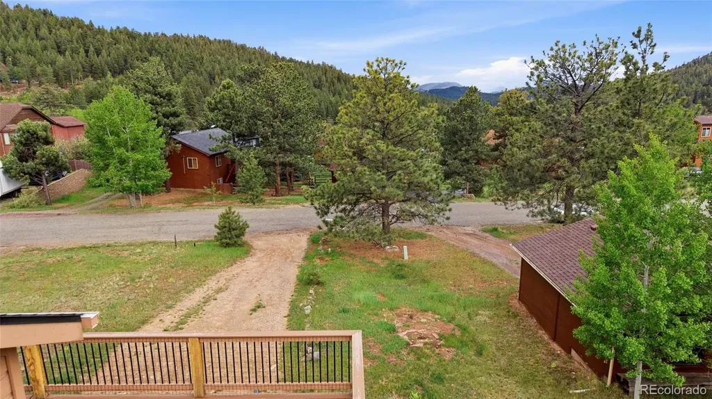 73 Sunlight Lane Bailey CO 80421