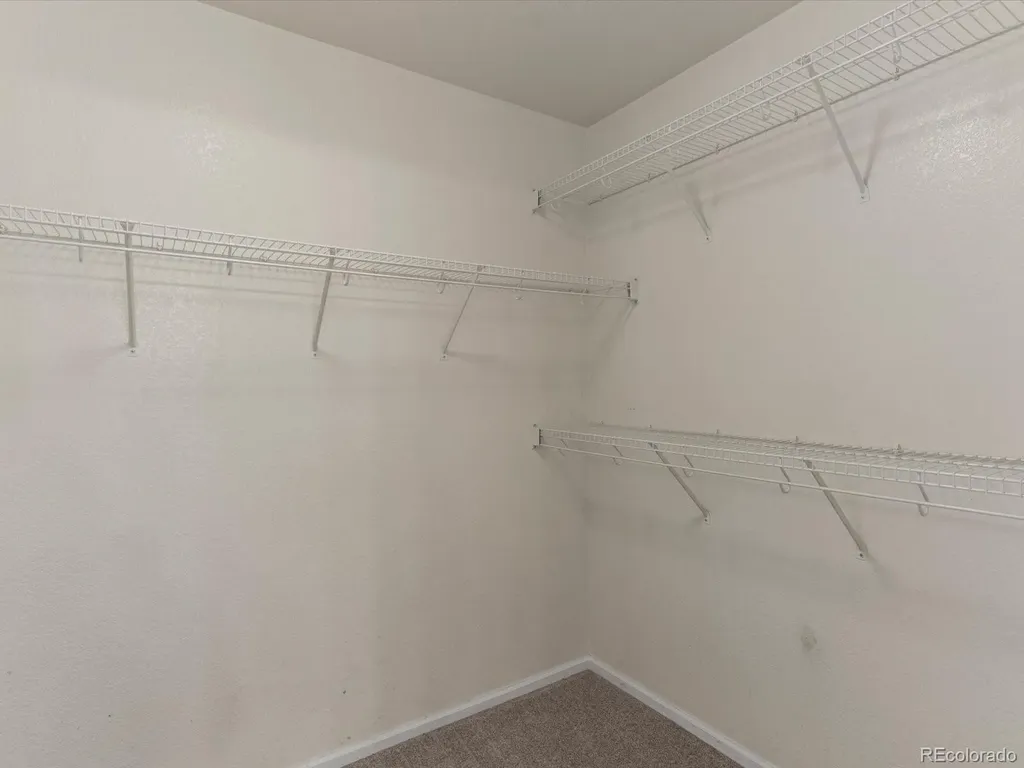 1811 Canvasback Drive Johnstown CO 80534