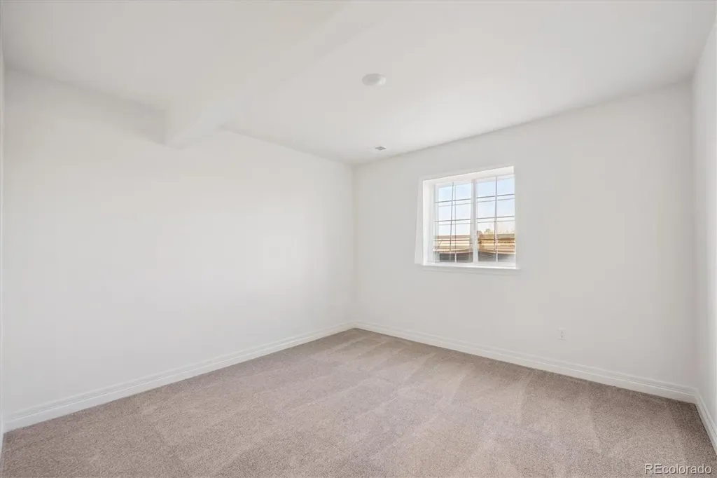 1180 Weller Street Timnath CO 80547