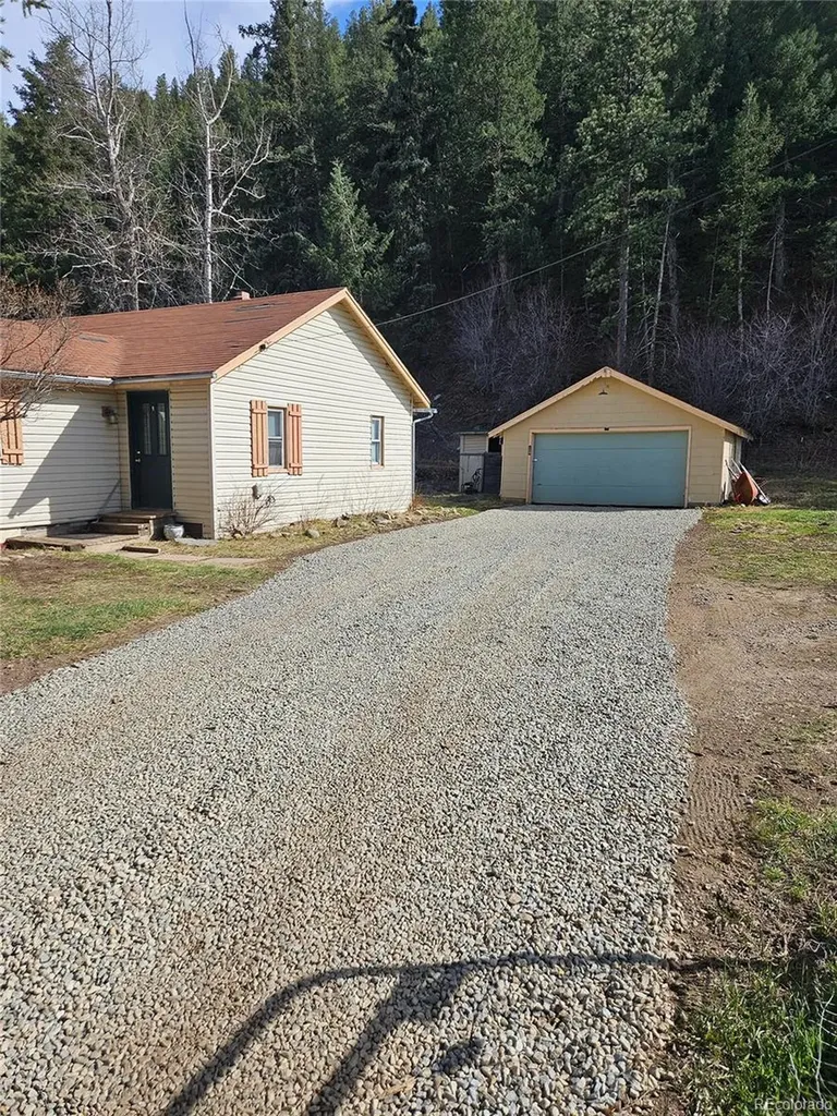 124 River Drive Bailey CO 80421