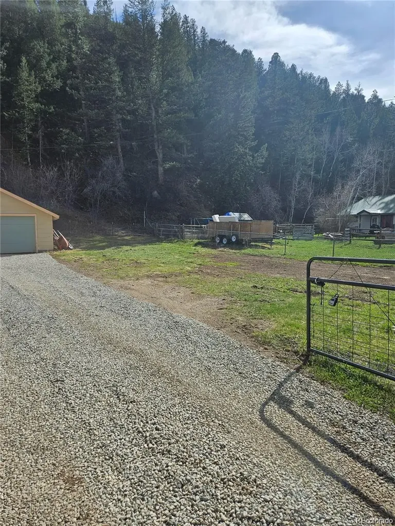 124 River Drive Bailey CO 80421
