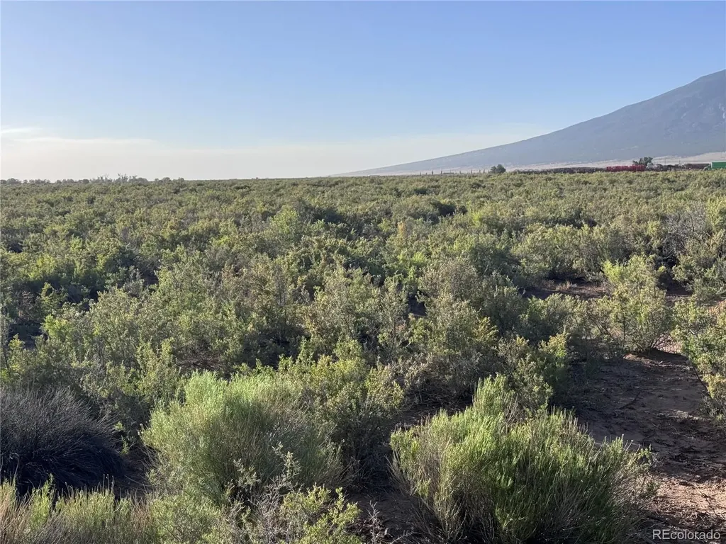 Lots 43,44,45,46 Eighth Blanca CO 81123