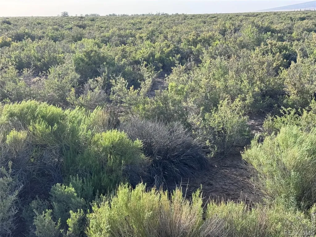 Lots 43,44,45,46 Eighth Blanca CO 81123