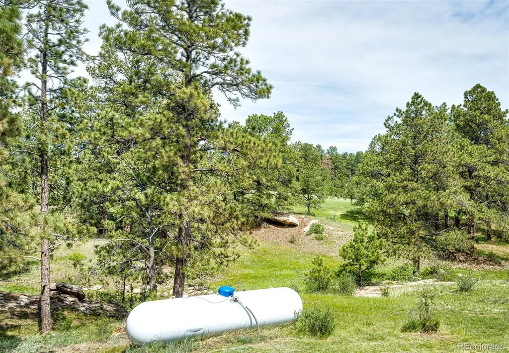 6206 County Road 102 Elbert CO 80106