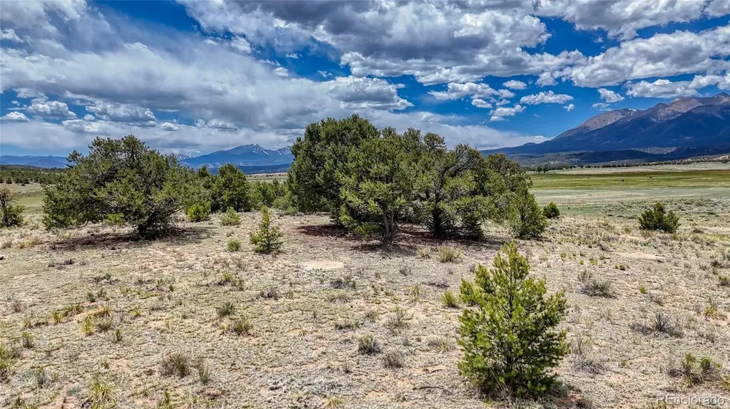 10119 Rawhide Creek Road Nathrop CO 81236