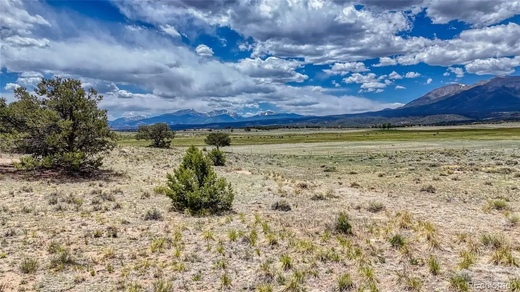 10119 Rawhide Creek Road Nathrop CO 81236