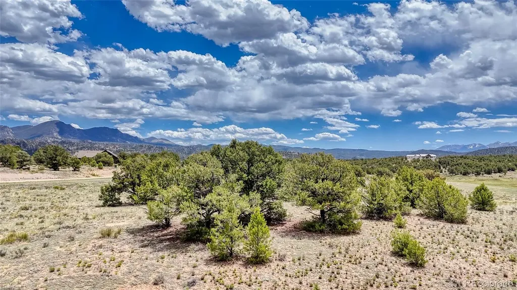 10119 Rawhide Creek Road Nathrop CO 81236