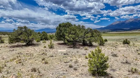 10119 Rawhide Creek Road Nathrop CO 81236