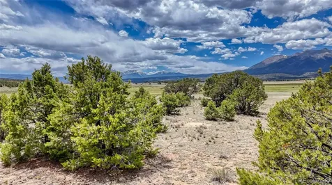 10119 Rawhide Creek Road Nathrop CO 81236