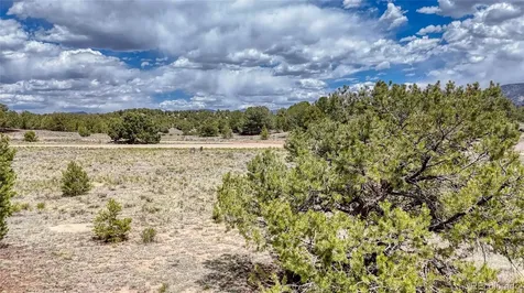 10119 Rawhide Creek Road Nathrop CO 81236