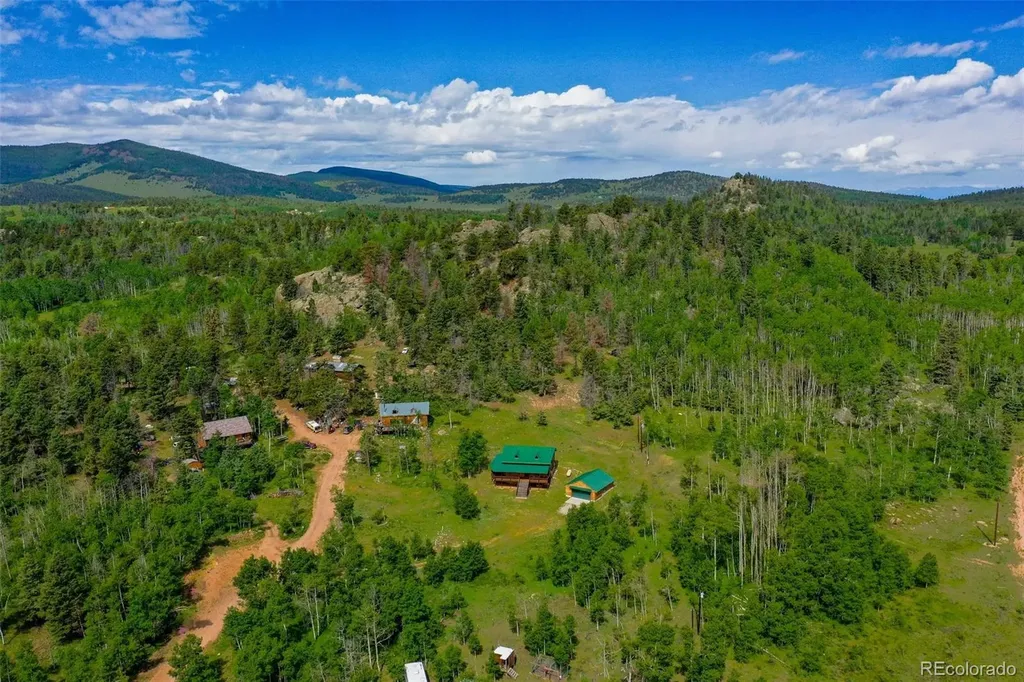 133 Vail Drive Florissant CO 80816