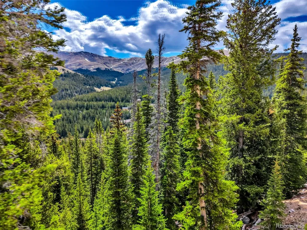 105 & 71 Quandary View Lane Breckenridge CO 80424