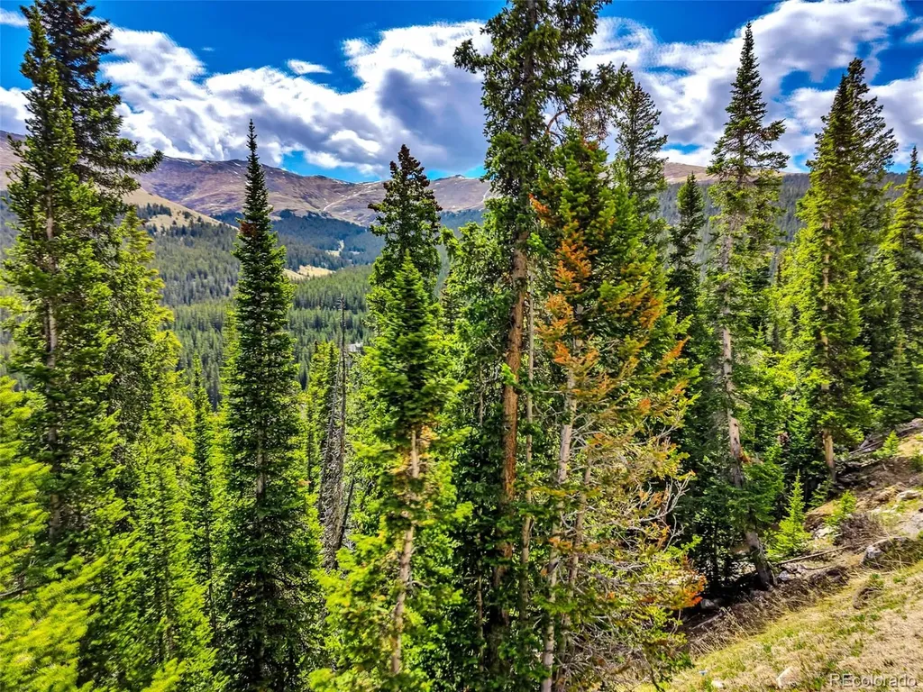 105 & 71 Quandary View Lane Breckenridge CO 80424