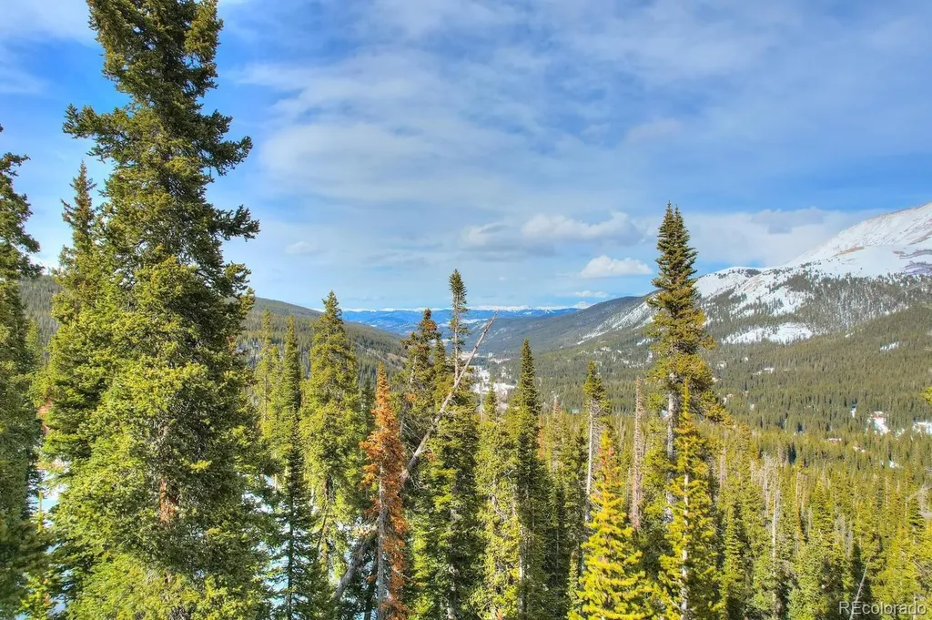 105 & 71 Quandary View Lane Breckenridge CO 80424