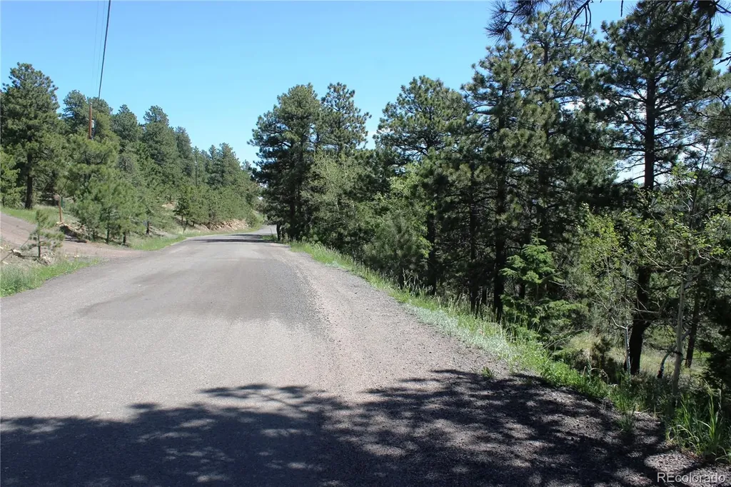 11702 Overlook Drive Golden CO 80403