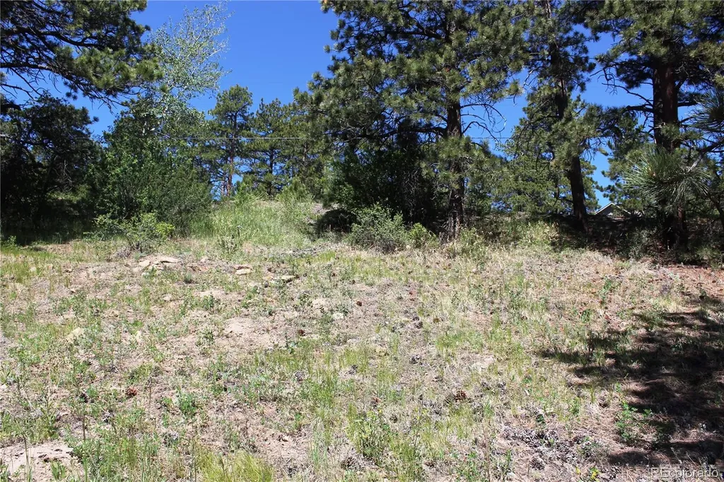 11702 Overlook Drive Golden CO 80403
