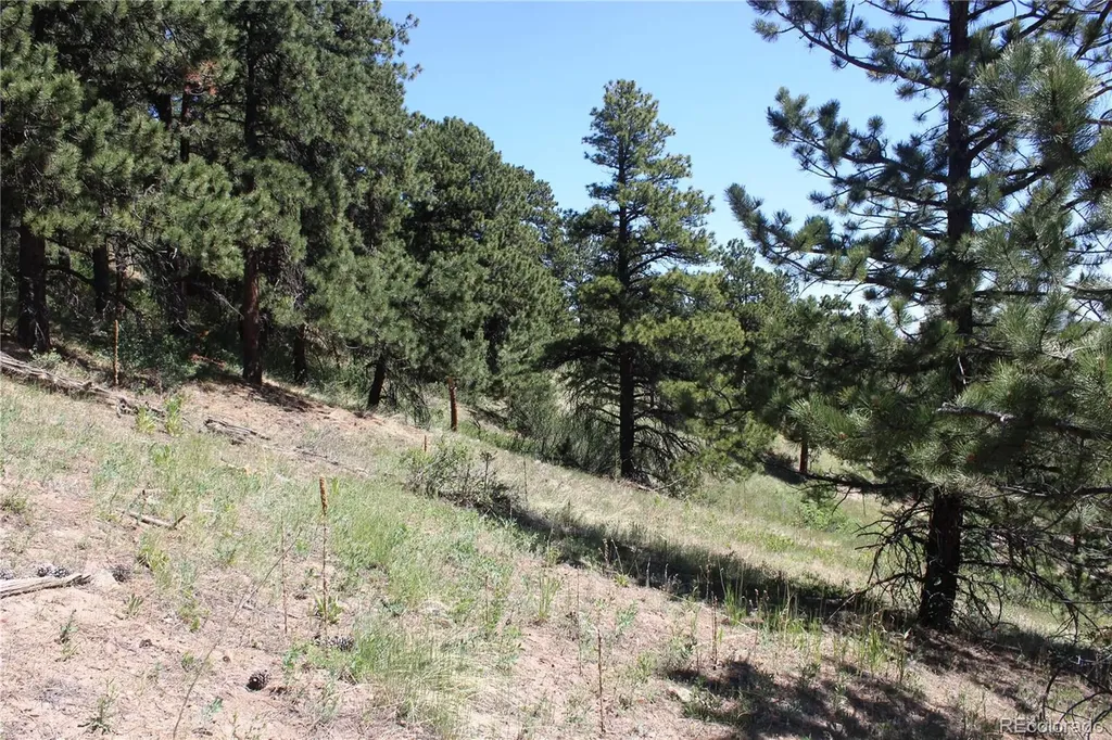 11702 Overlook Drive Golden CO 80403