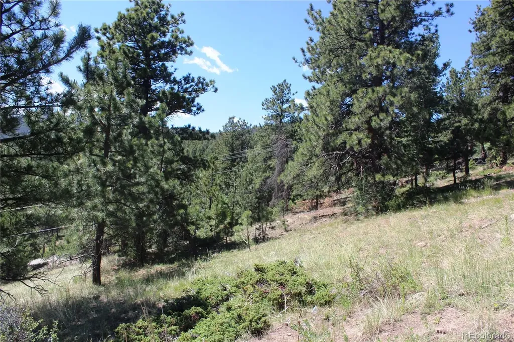 11702 Overlook Drive Golden CO 80403
