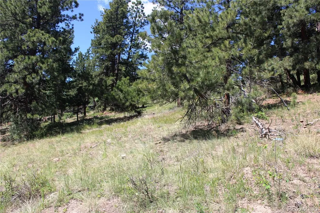 11702 Overlook Drive Golden CO 80403