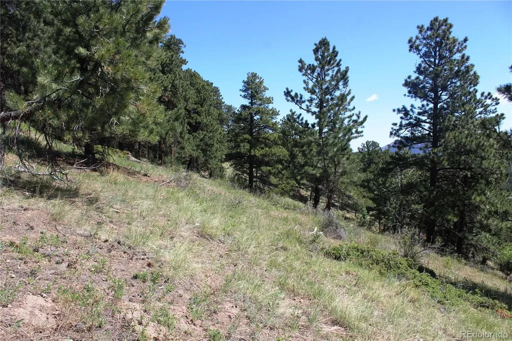 11702 Overlook Drive Golden CO 80403