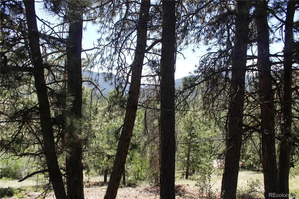 11702 Overlook Drive Golden CO 80403