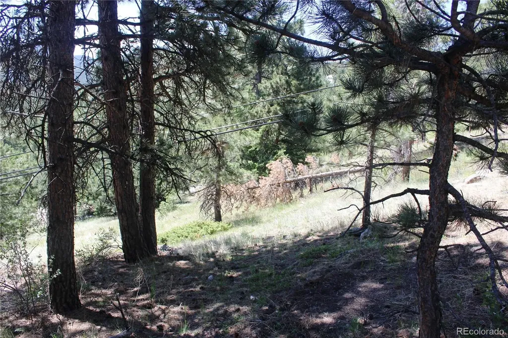 11702 Overlook Drive Golden CO 80403