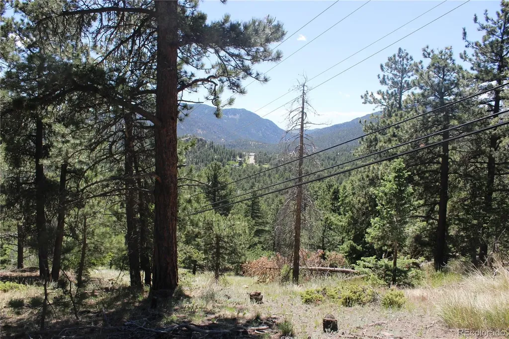 11702 Overlook Drive Golden CO 80403