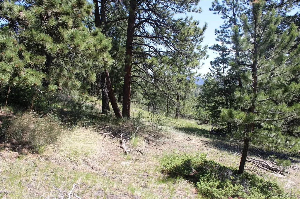 11702 Overlook Drive Golden CO 80403