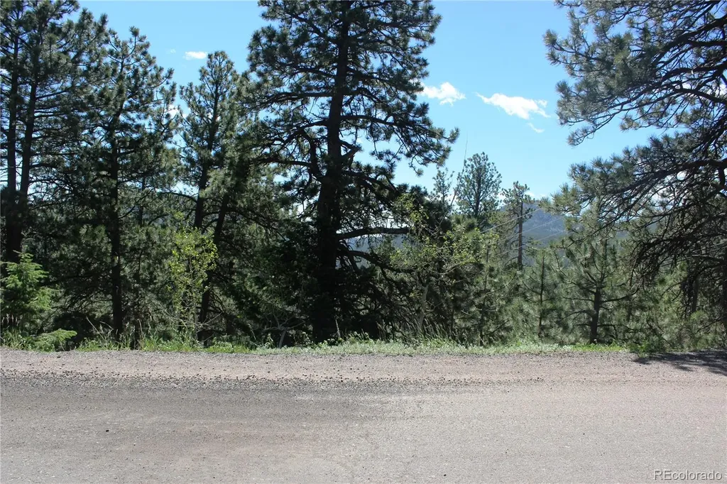 11702 Overlook Drive Golden CO 80403