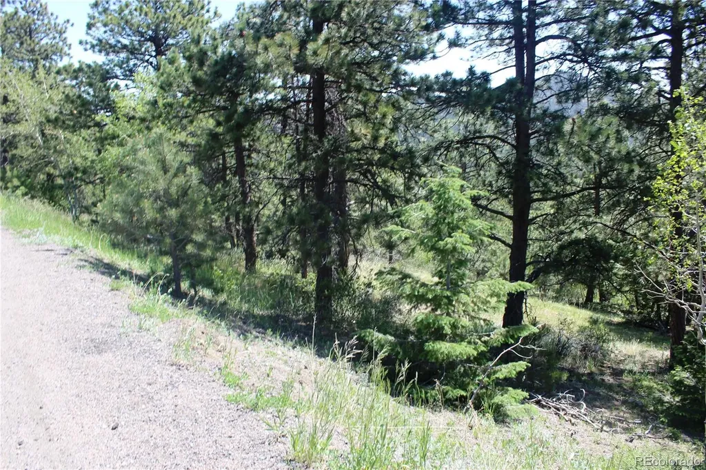 11702 Overlook Drive Golden CO 80403