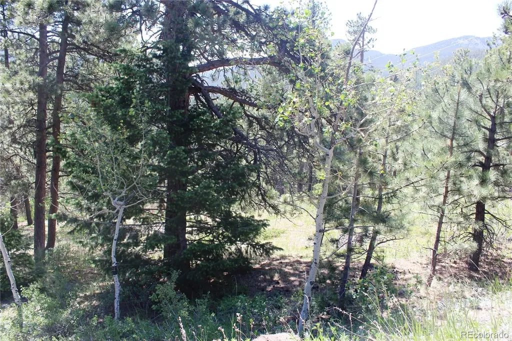 11702 Overlook Drive Golden CO 80403