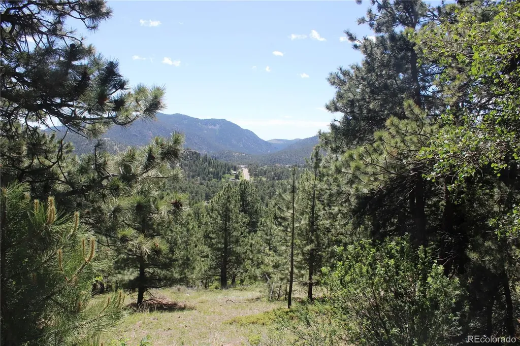 11702 Overlook Drive Golden CO 80403