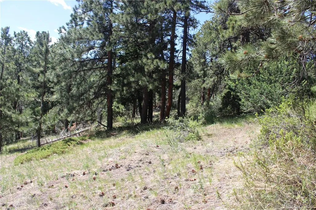 11702 Overlook Drive Golden CO 80403