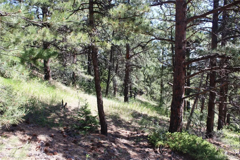 11702 Overlook Drive Golden CO 80403