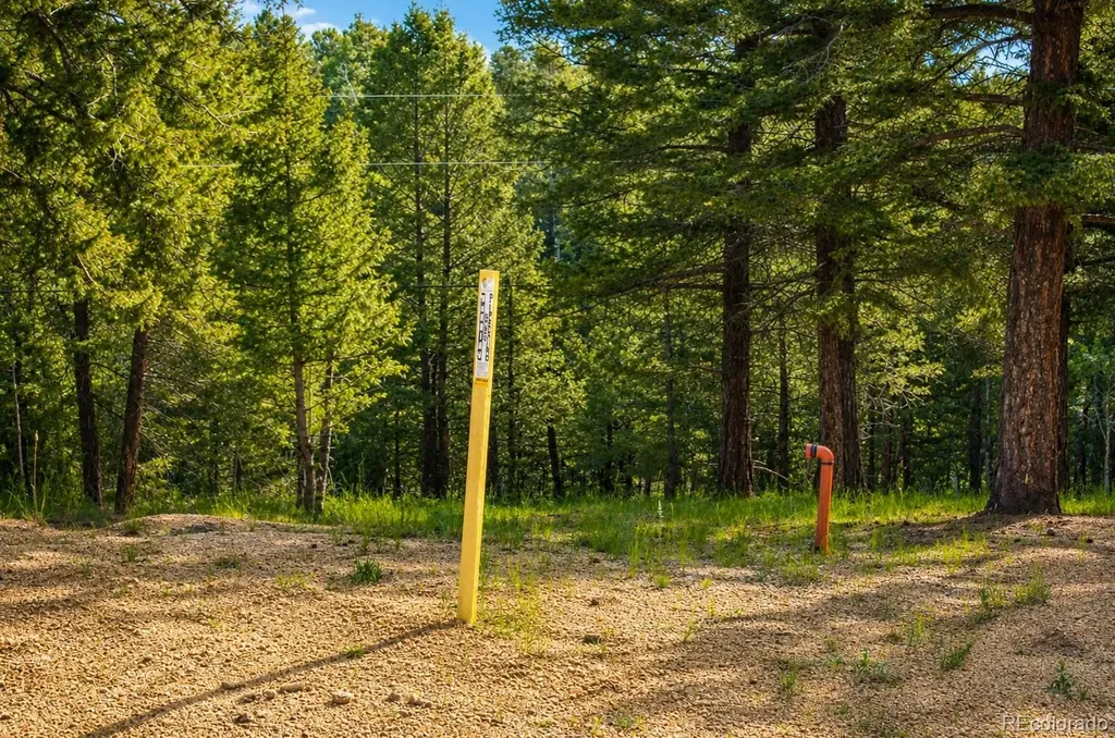 123 Ellis Lake Circle Divide CO 80814