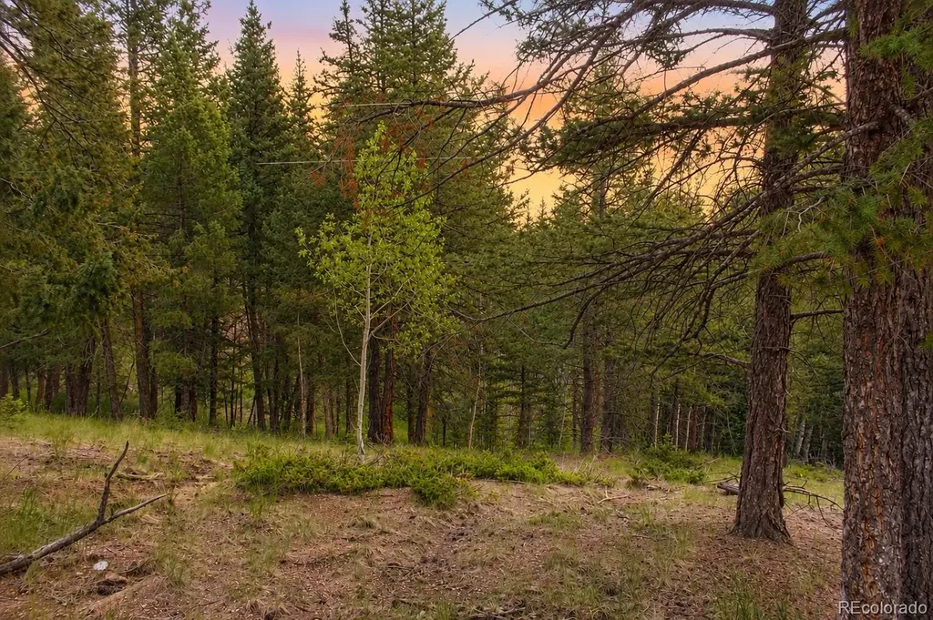 123 Ellis Lake Circle Divide CO 80814