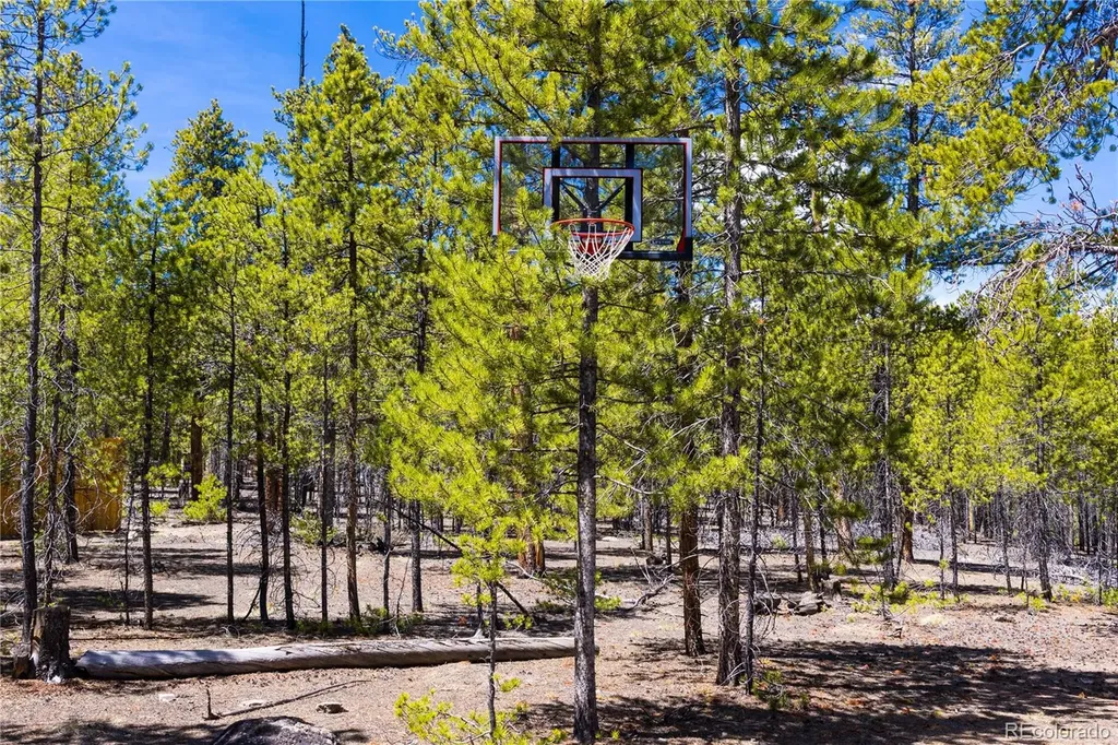 758 Spruce Drive Twin Lakes CO 80461
