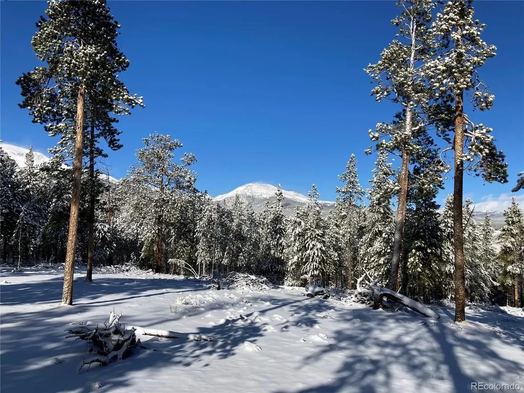 758 Spruce Drive Twin Lakes CO 80461