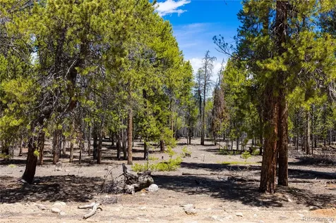 758 Spruce Drive Twin Lakes CO 80461